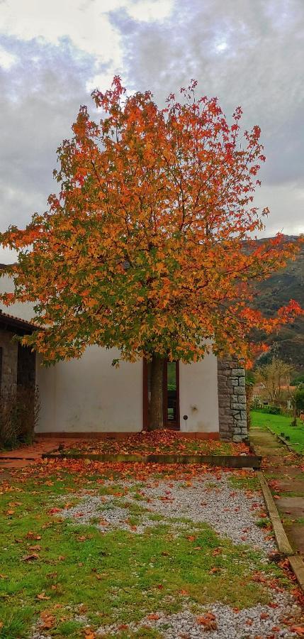 La Calma De Llanes Villa Exteriör bild